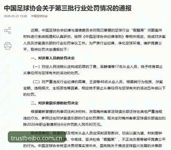 贝博安全吗 足协禁足名单“终身”vs“五年”:行业洗牌与体育平台公平性之思